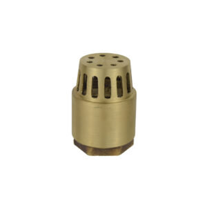 Pichancha de bronce 1 1/2"
